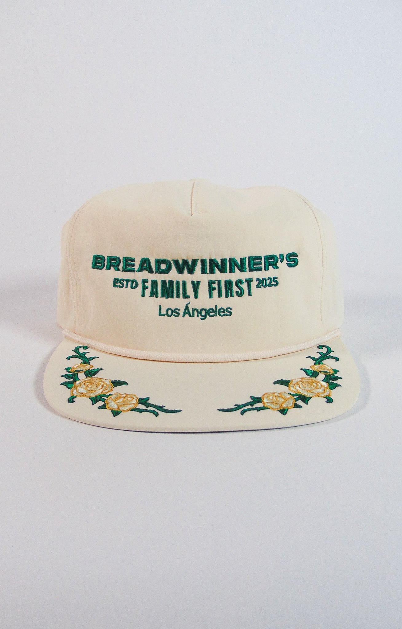 Embroidered snapback (sold out)